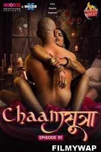 Chaam Sutra (2024) MoodX Hindi Unrated Web Series